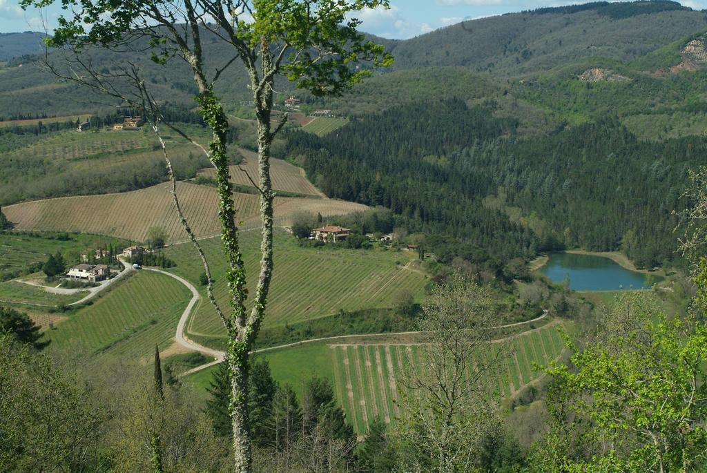 Agriturismo Vinci 基安蒂盖奥勒 外观 照片